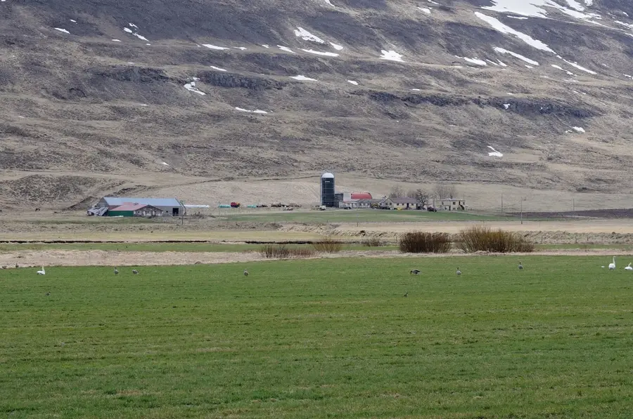 Saurbær — Munkaþverá (Islanda)