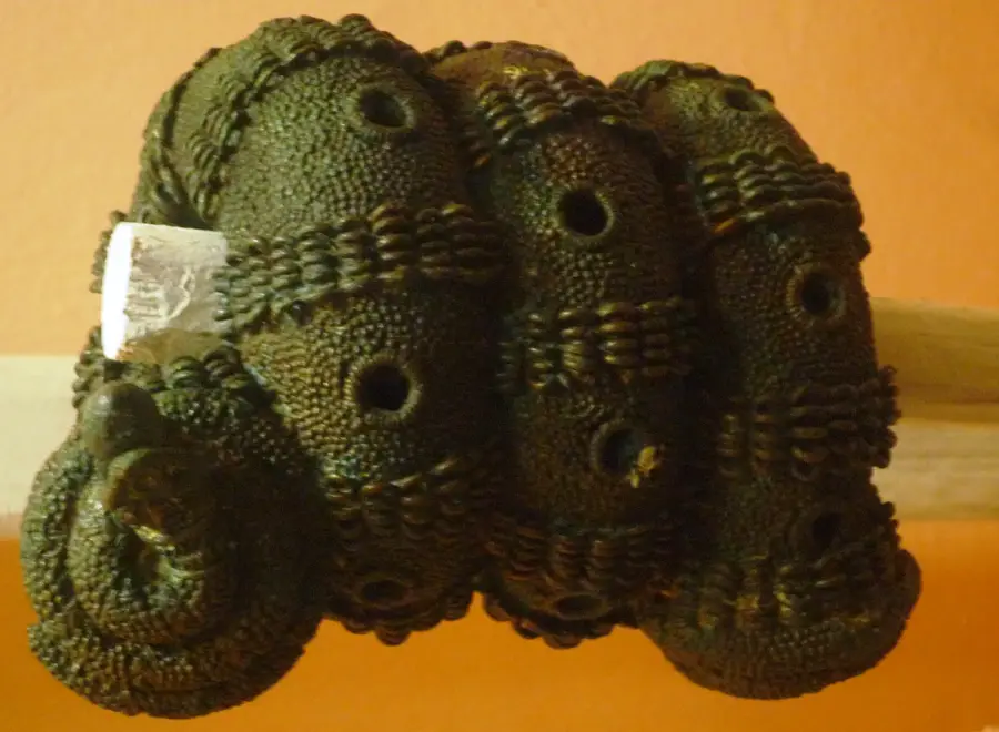 Igbo-Ukwu Ausgrabungsstätte