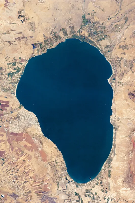 See Genezareth — Dan (Israel)
