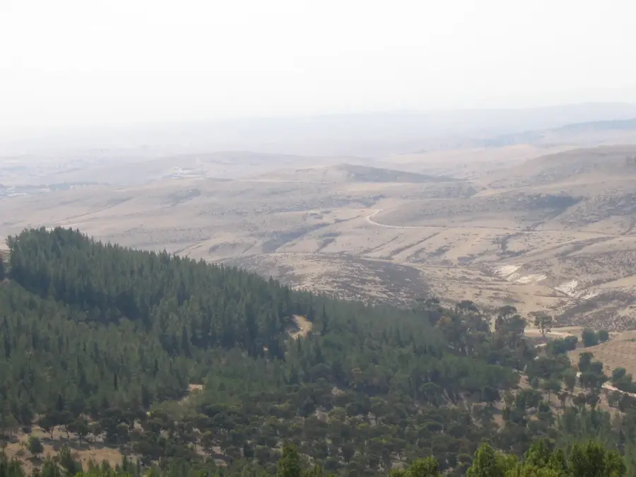Jatir-Wald — Masada (Israel)