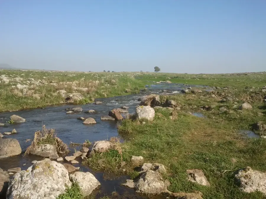 Rezervația Yehudiya — Tel Hazor (Israel)