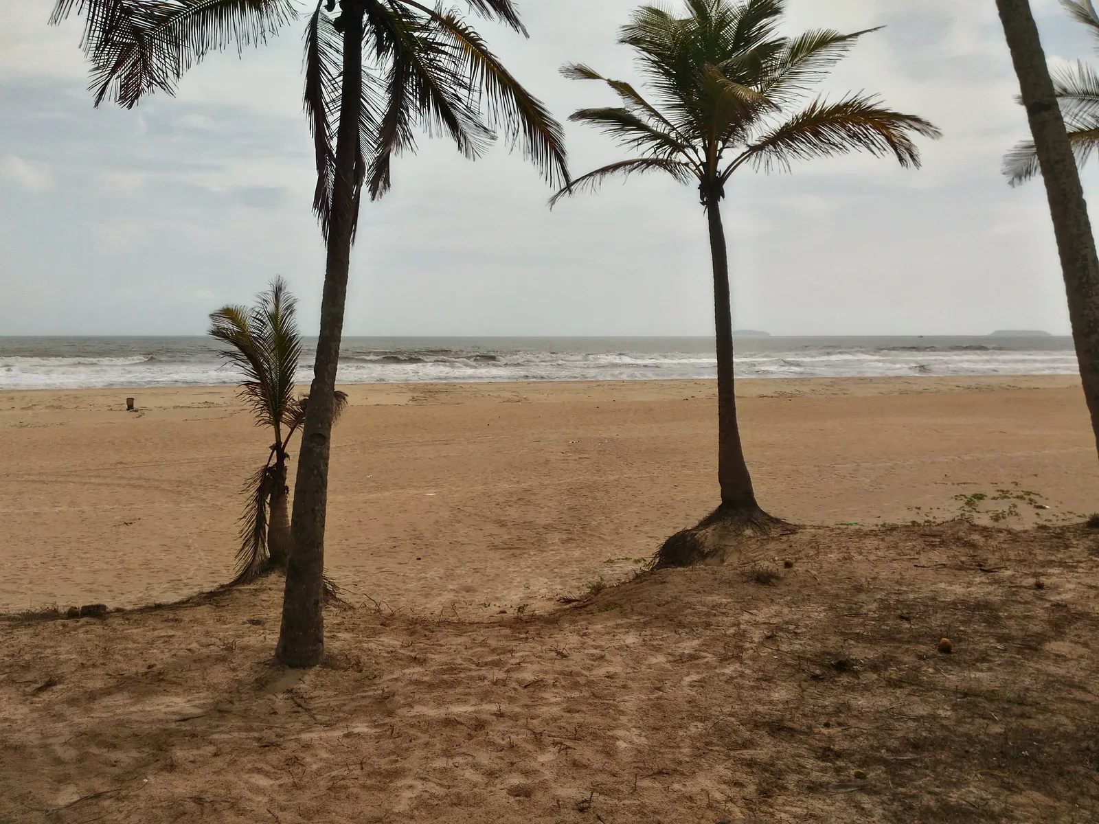 Arossim — Talpona (India)