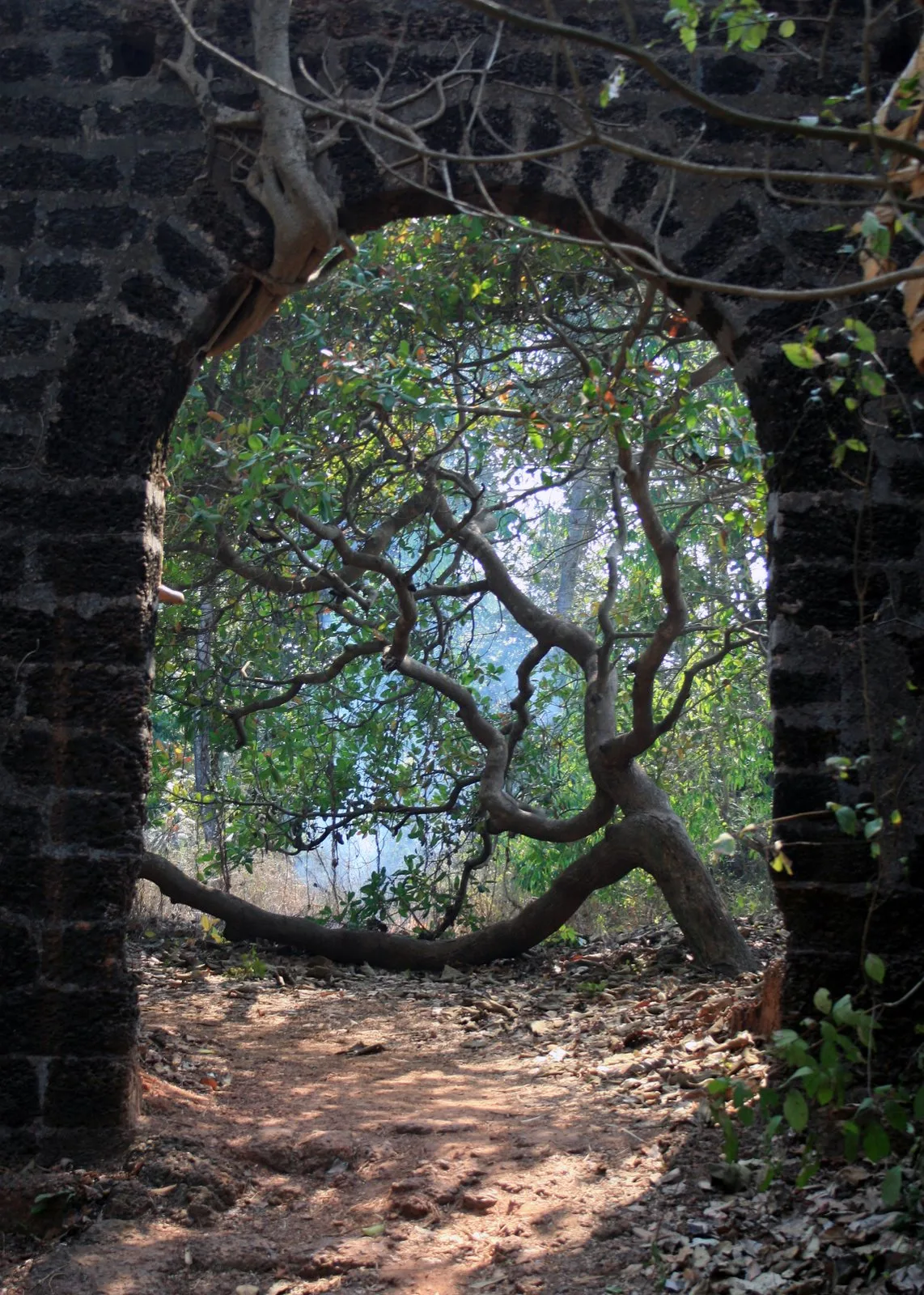 Bhagatwadi