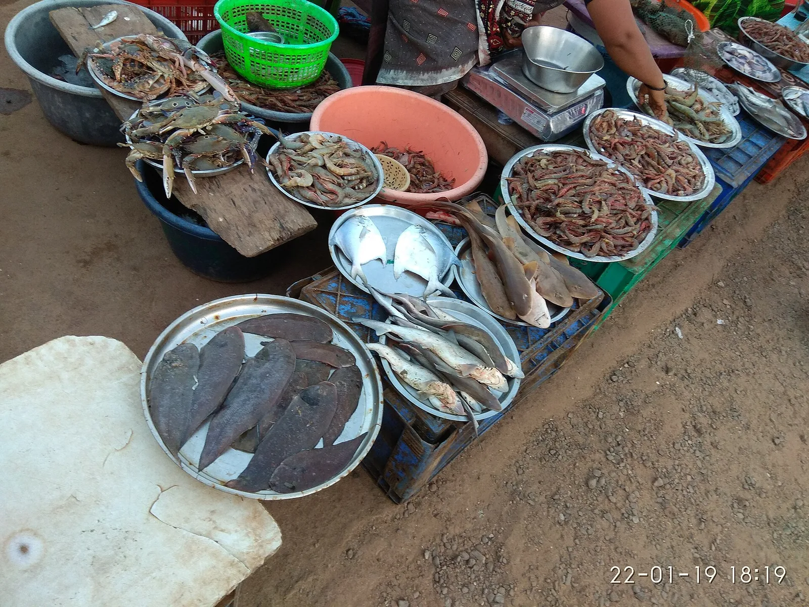 Vengurla — Thane (Indien)