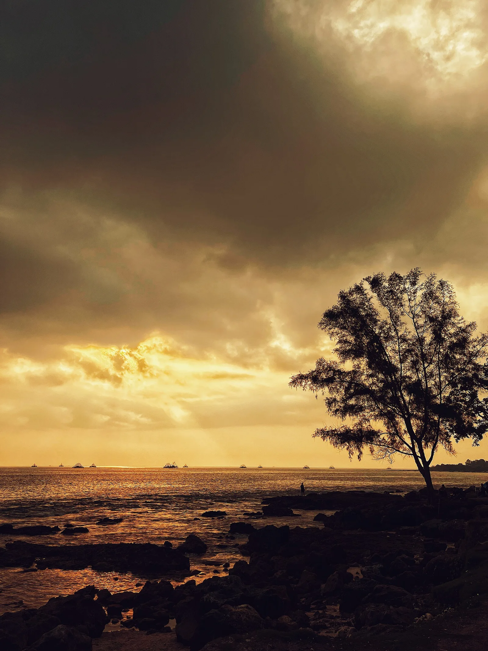 Banyuasih — Ujung Kulon National Park (Indonesia)