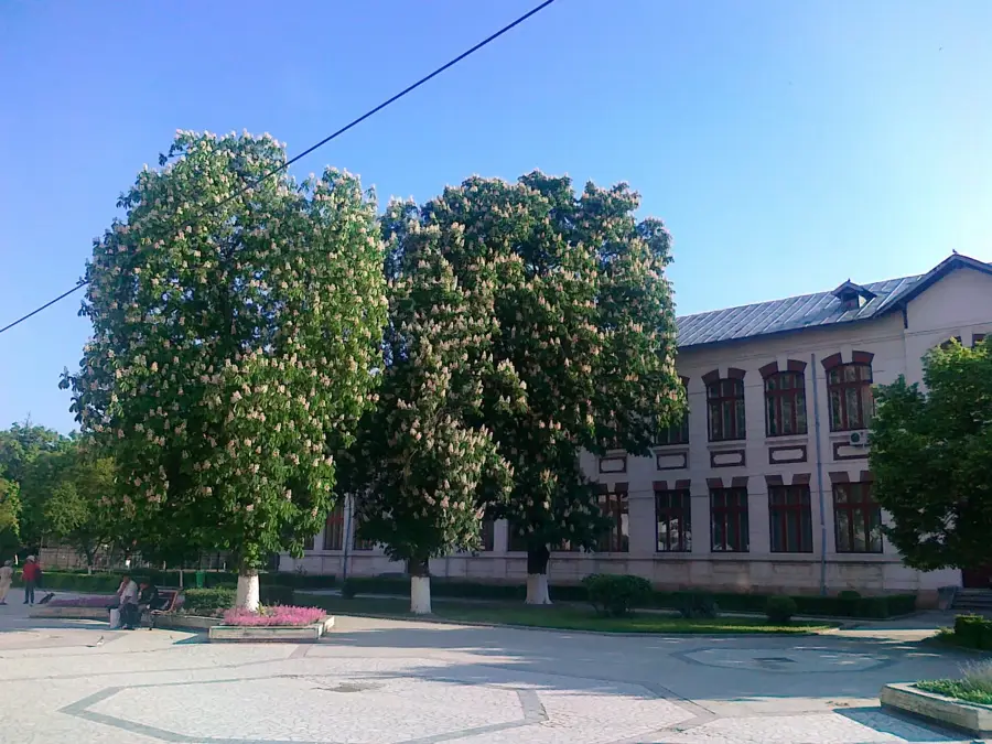 Koyo România Alexandria — Zimnicea (România)