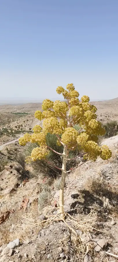 Meymand — Catedrala Vank (Iran)