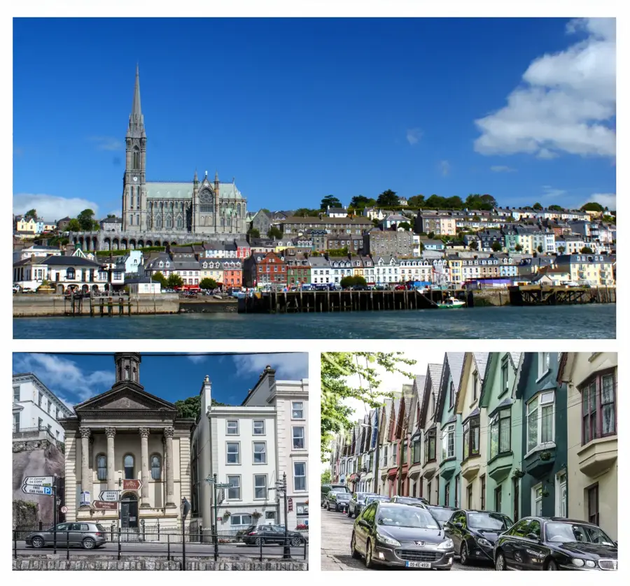 Cobh — Secret Valley Wildlife (Irland)