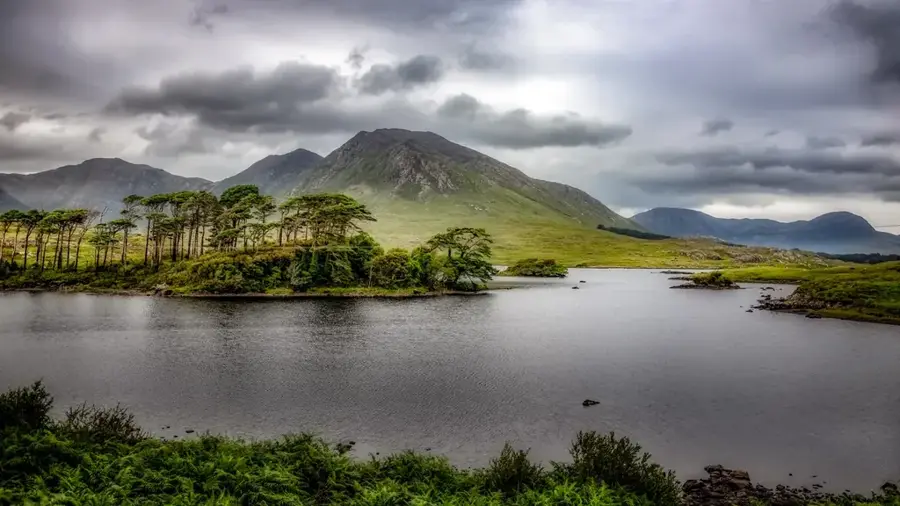 Derryclare Wood