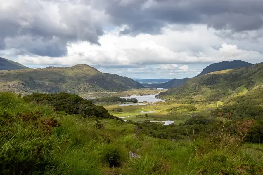 Killarney tölgyerdők
