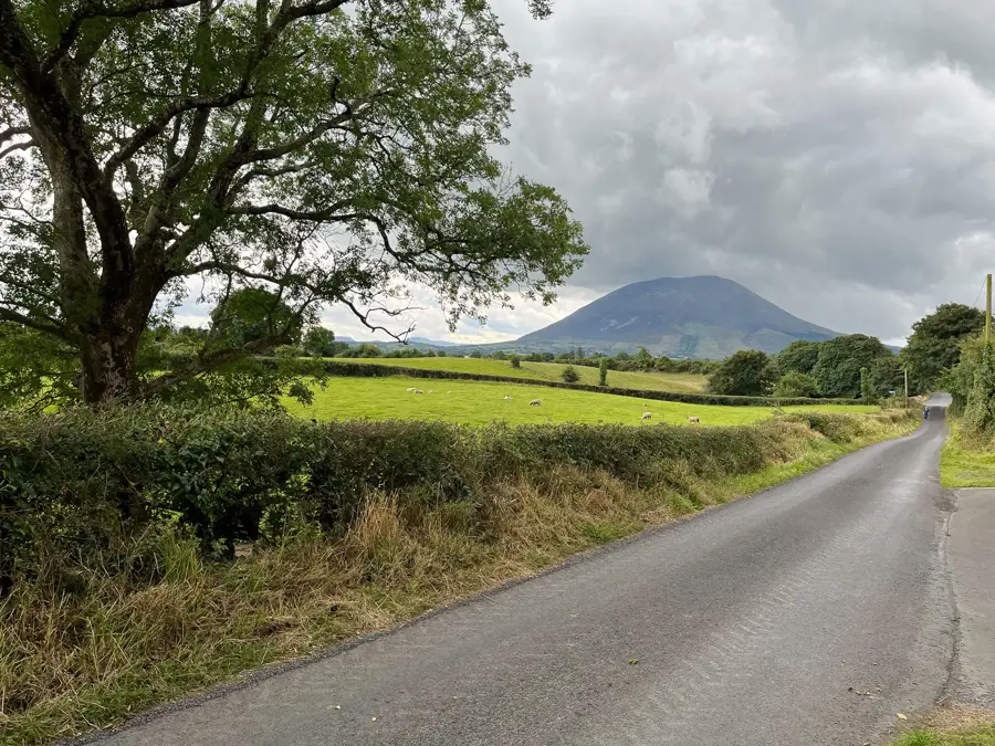 Nephin