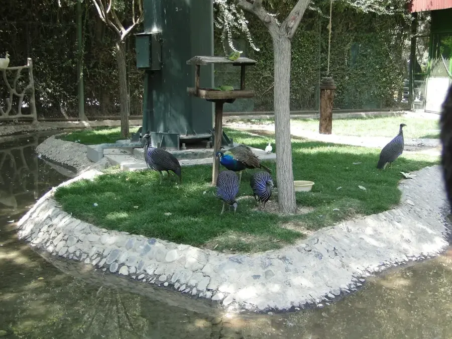 Parcul Păsărilor din Isfahan — Catedrala Vank (Iran)
