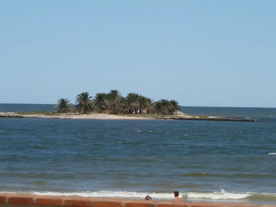 Isla de las Gaviotas