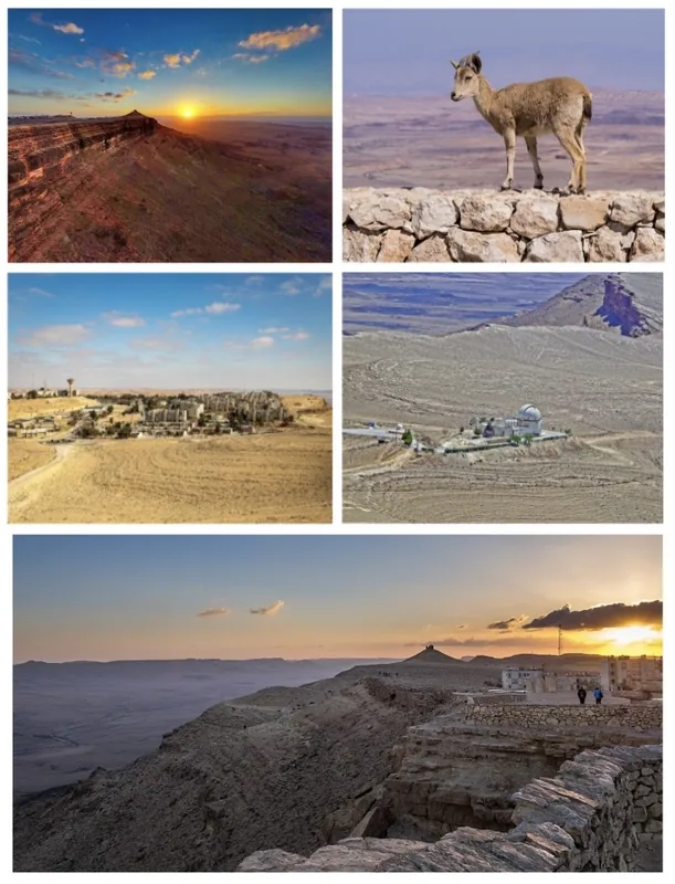 Ferma de Alpaca Mitzpe Ramon — Valea Arava (Israel)