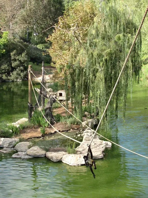 Biblischer Zoo Jerusalem — Felsendom (Israel)