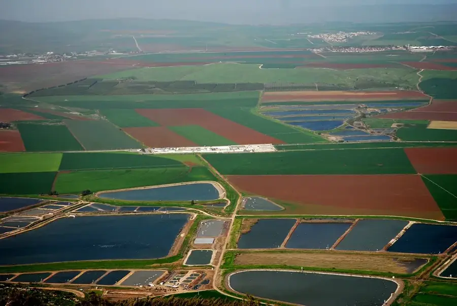 Valea Izreel — Afula (Israel)