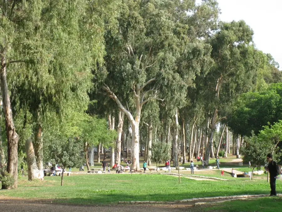 Jarkon-Park — Bat Jam (Israel)