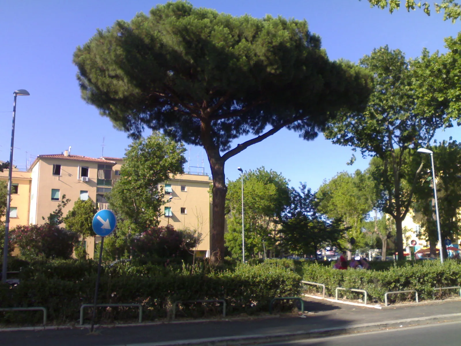 Acilia Sud – city