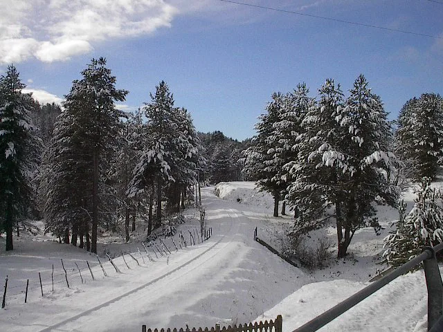 Sila Plateau (Italy)