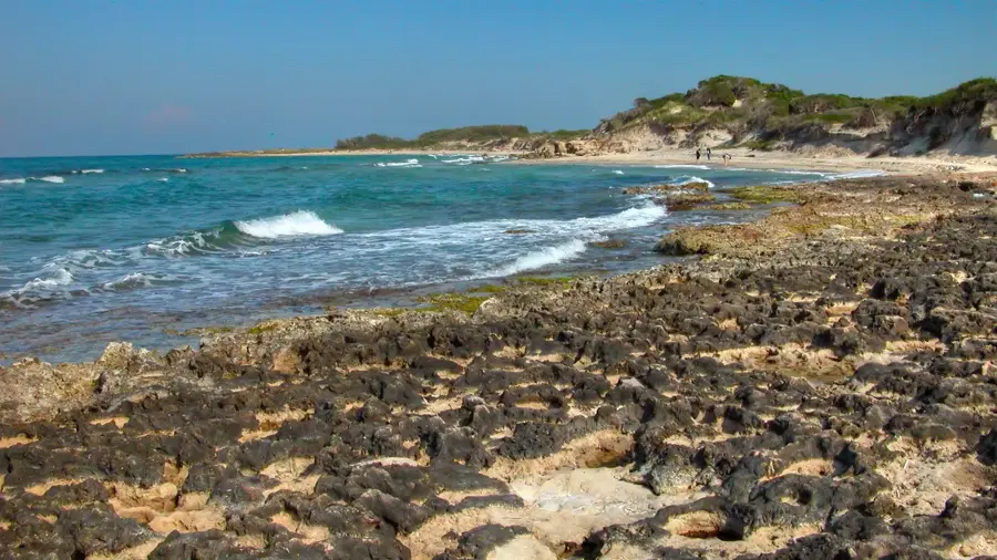 Carovigno — Bari (Olaszország)