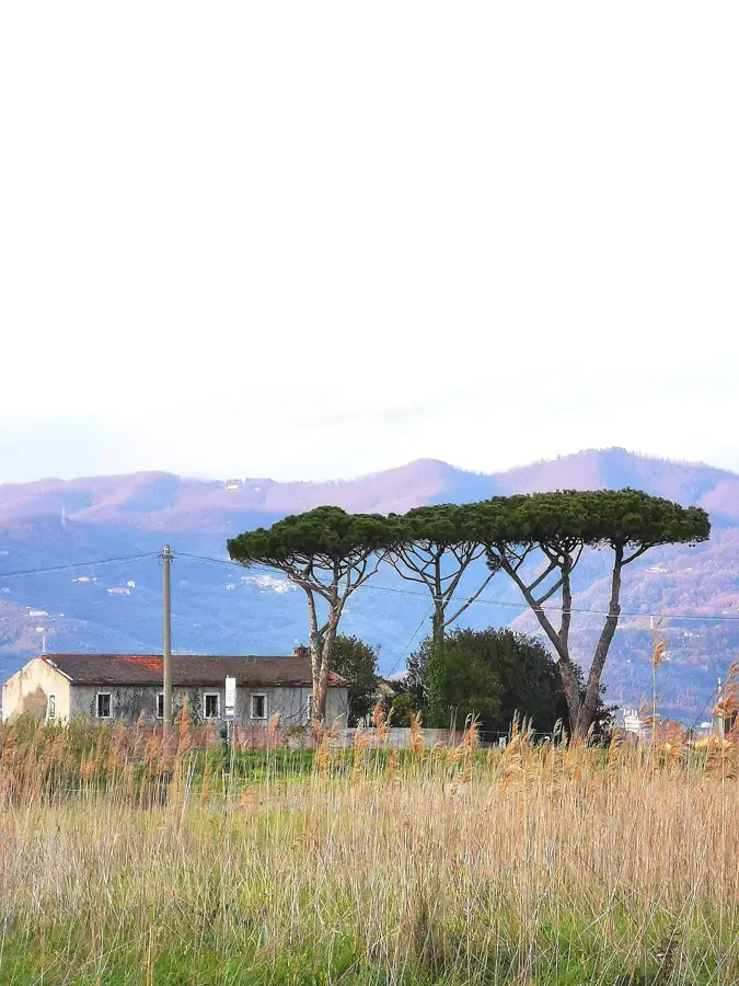 Fiumaretta