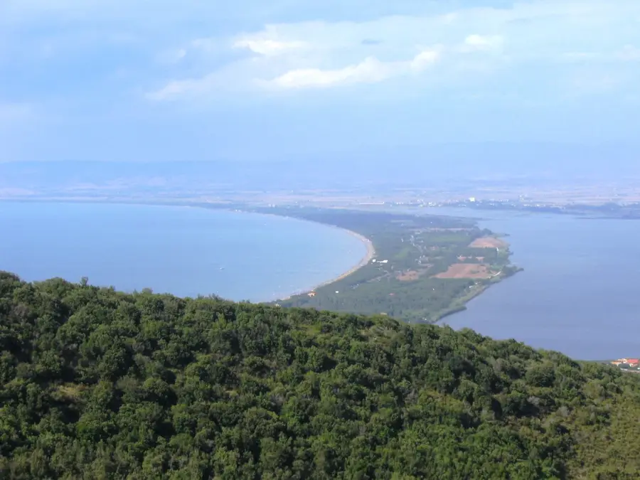 Giannella
