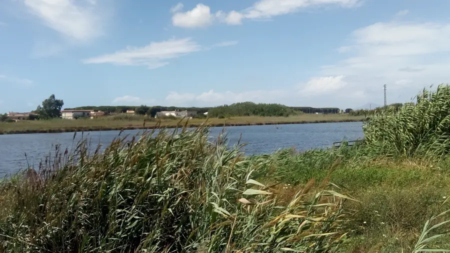 Lago Patria — Portul Tio (Eritreea)