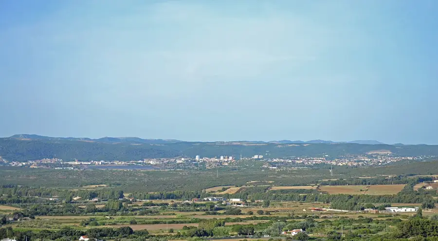 Matzaccara