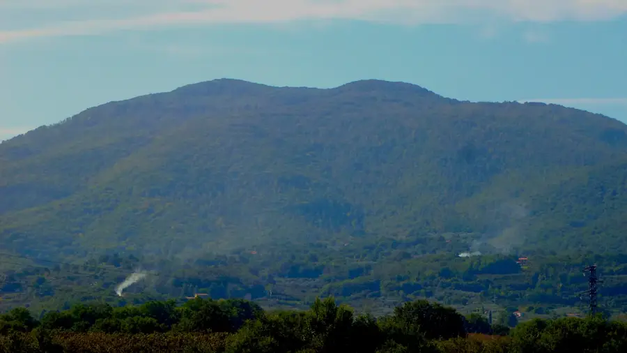 Monte Cimino