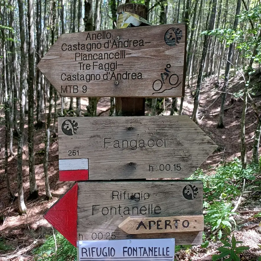 Monte Falterona