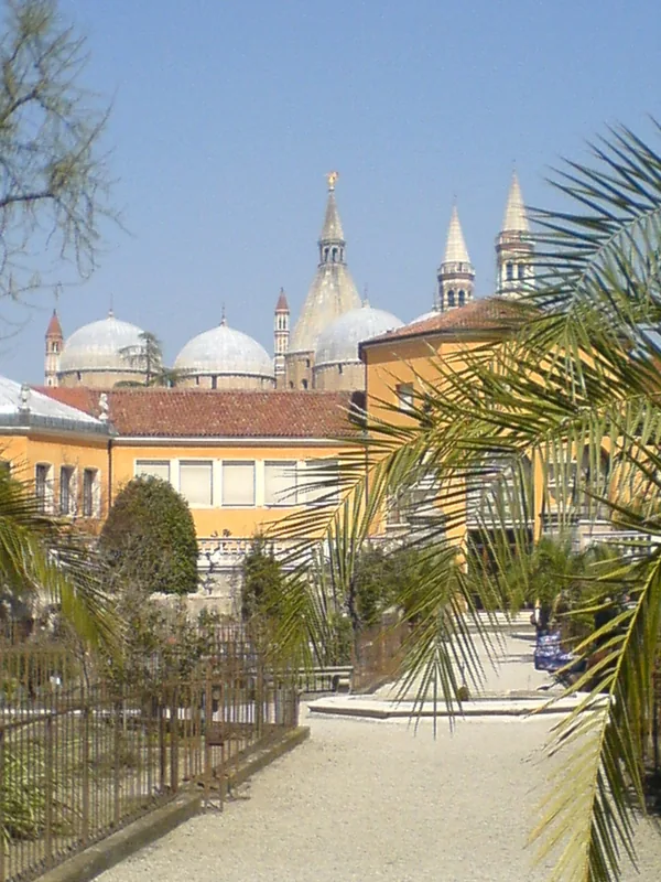 Grădina Botanică din Padova