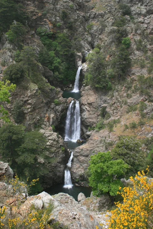 Aspromonte National Park