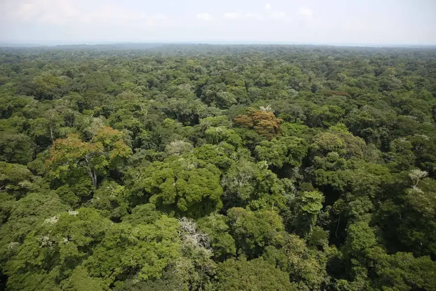Ituri-Regenwald — Uele (Kongo-Kinshasa)