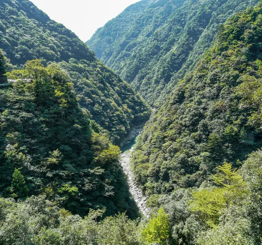 Iya-Tal (Japan)