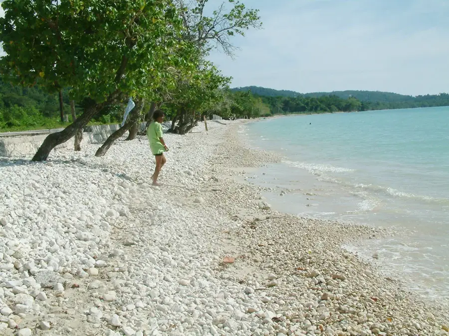 Bluefields — Frenchman's Cove (Jamaica)