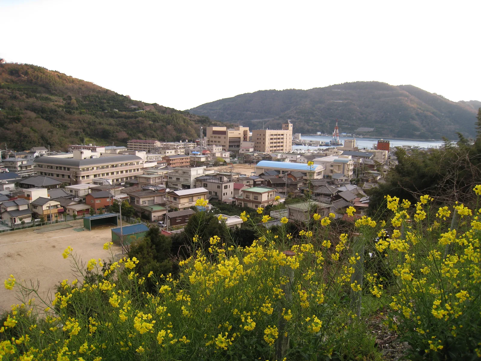 Ikata