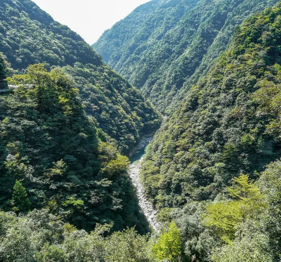 Iya-Tal — Iya-Tal (Japan)