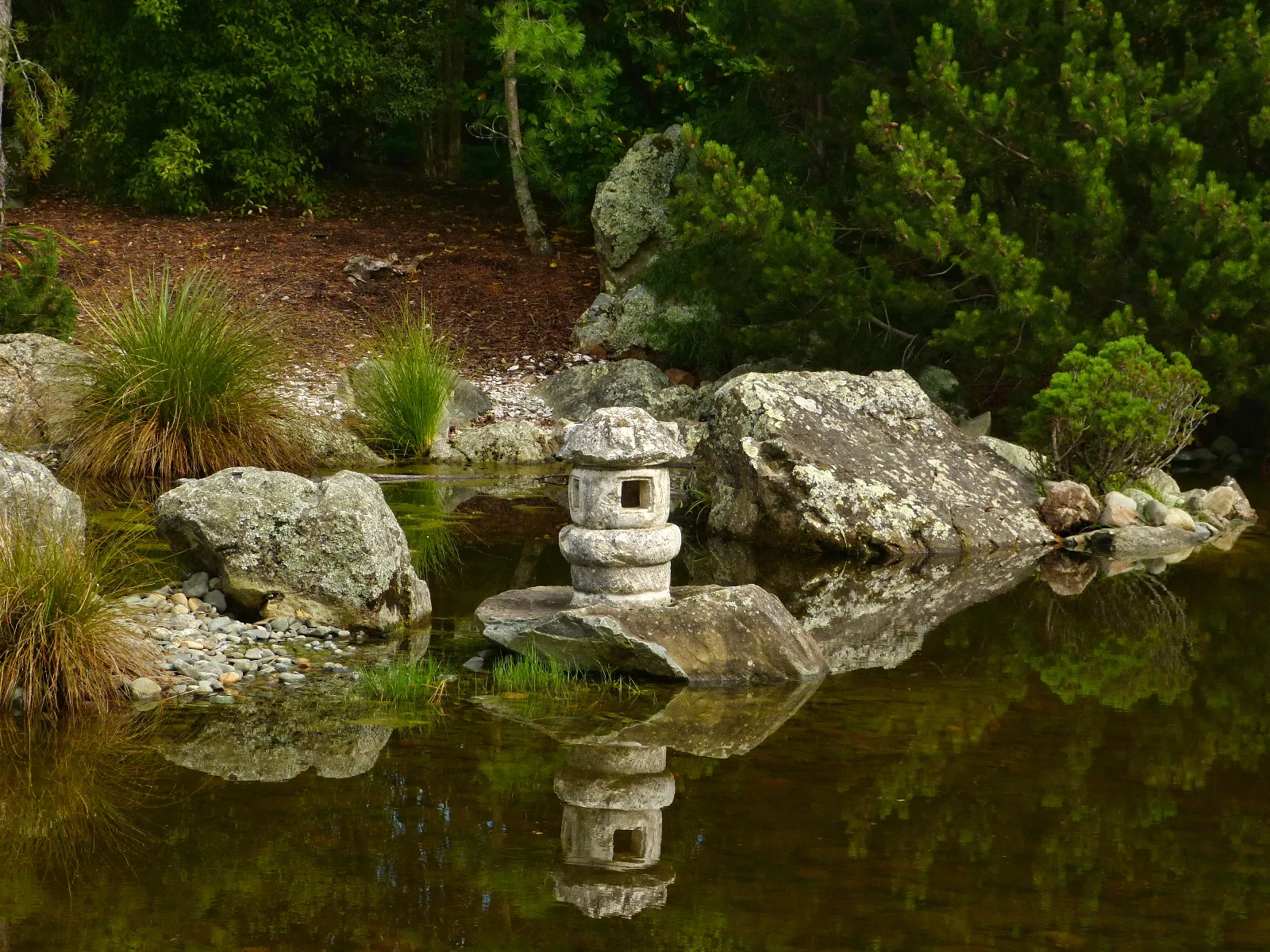 Miyazu
