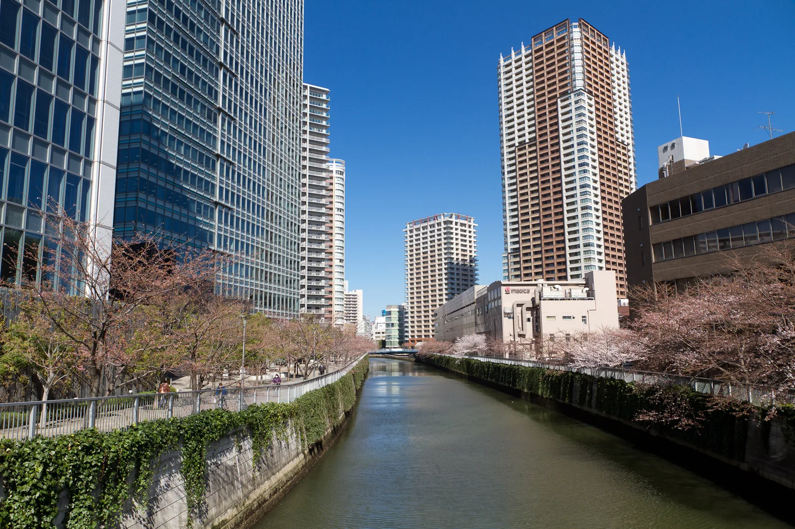 Shinagawa — Piața Exterioară Tsukiji (Japonia)