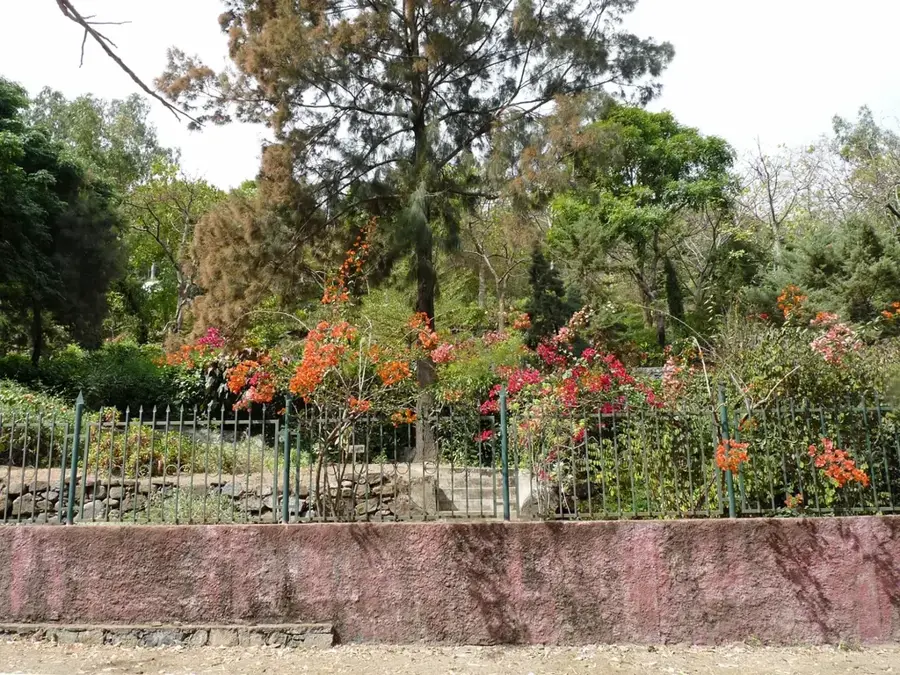 Grădina Botanică Națională Grandvaux Barbosa — Golful Tarrafal (Capul Verde)