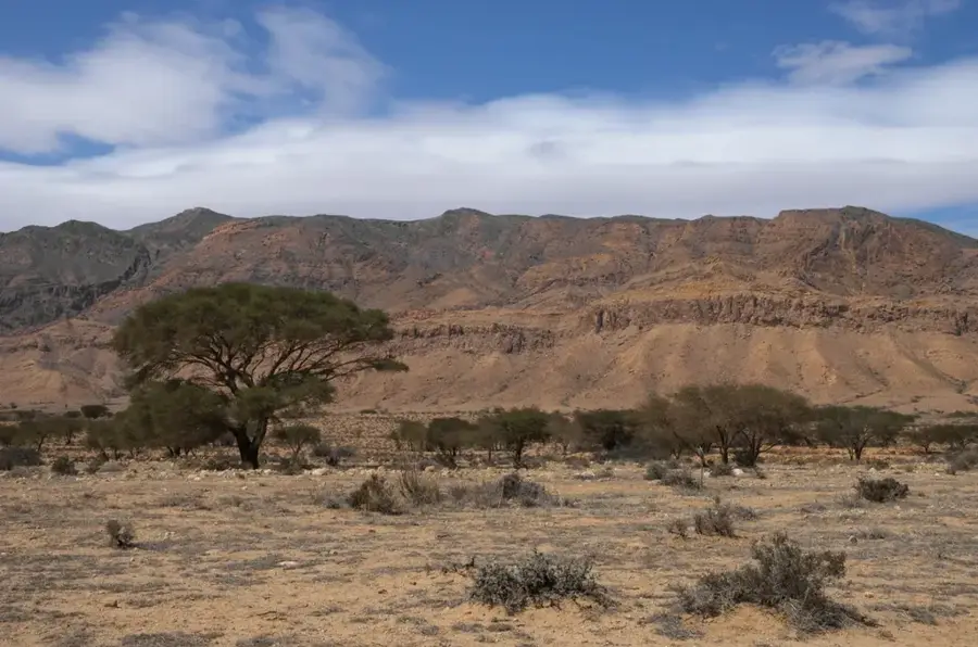 Djebel Bou Hedma — Asosa (Etiopia)