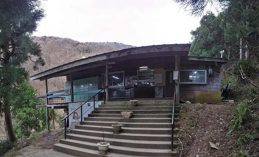Jigokudani Affenpark — Berg Asama (Japan)