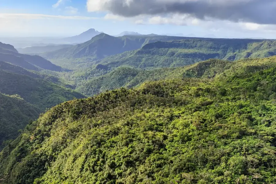 Black River — Frenchman's Cove (Jamaica)