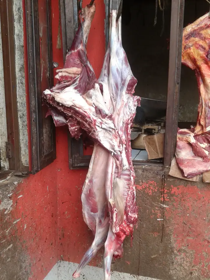 Meat Packing Plant