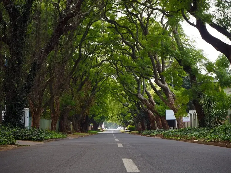 Johannesburg Mountain