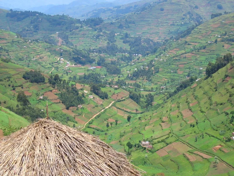 Kabale