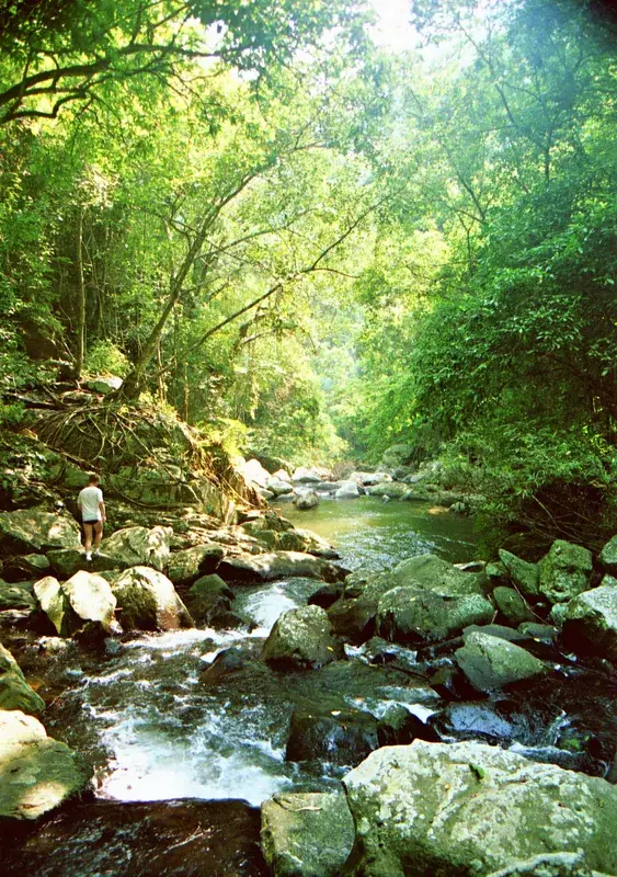 Parcul Național Kaeng Krachan