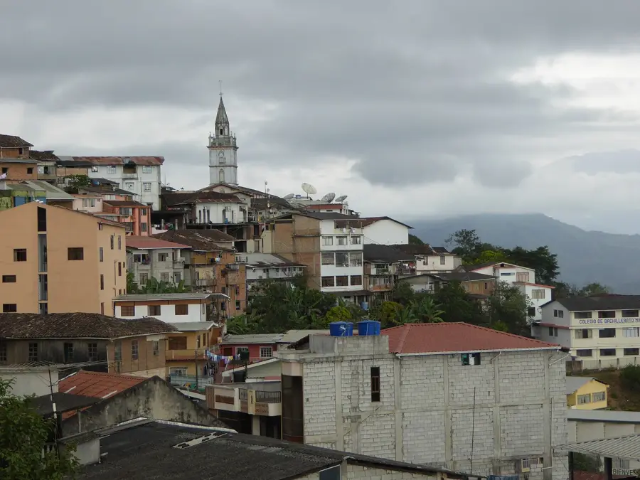 Zaruma Coffee Farm — Ventanas (Ecuador)