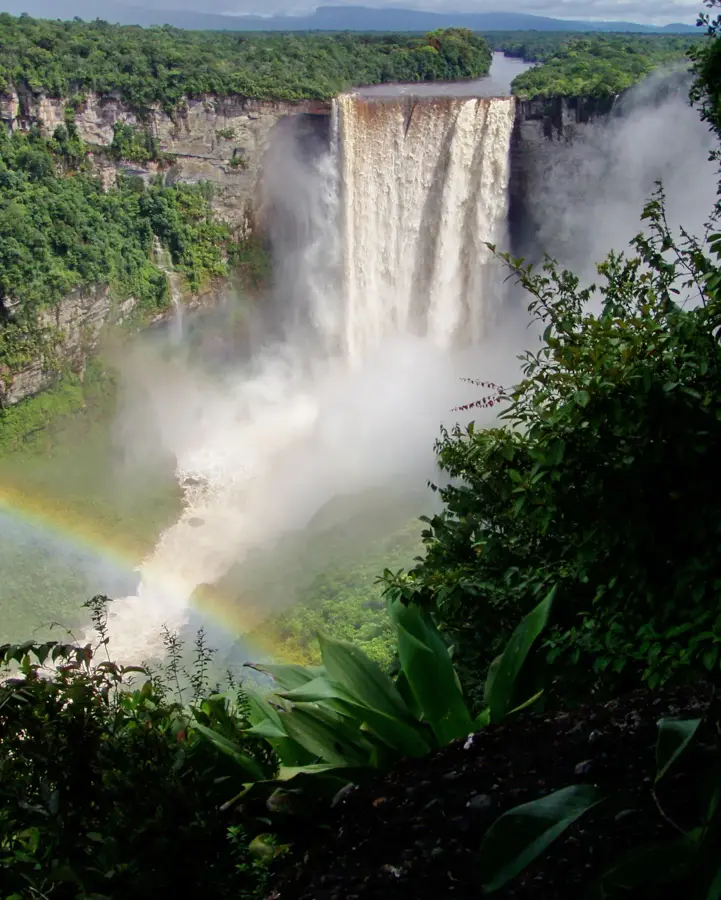 Kaieteur-Plateau — Turtle-Mountain-Reservat (Guyana)