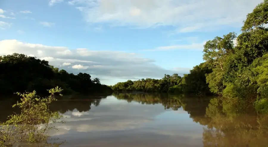 Kainji Reservoir Shore — Kainji Basin (Nigeria)